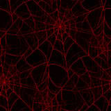 spider web black and red
