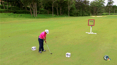 golf trick shot gif -