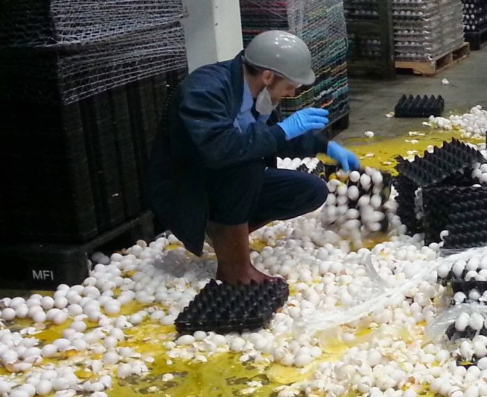 17 People Having A Really Bad Day At Work