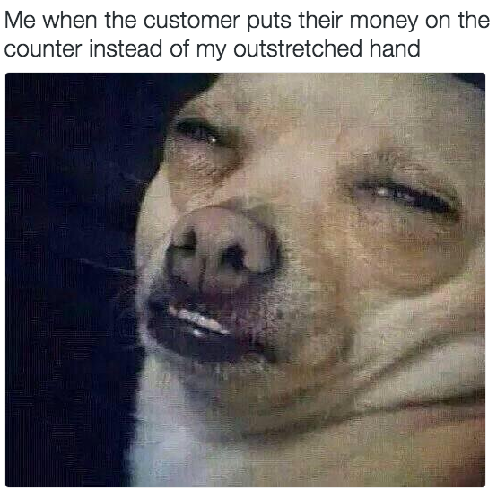 meme animals - Me when the customer puts their money on the counter instead of my outstretched hand