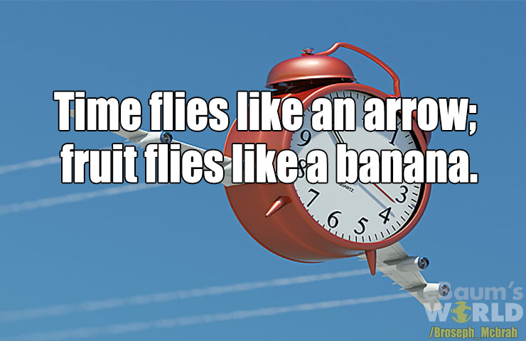 dad jokes - times square - Time flies an arrow; fruit flies a banana. aum's Wrld Broseph Mcbrah
