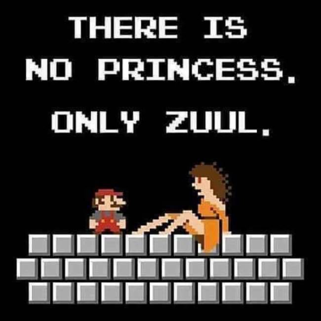 t shirt no princess - There Is No Princess, Only Zuul,