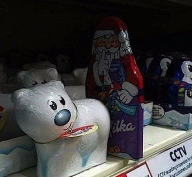 funny picture of santa and bear chocolate secret