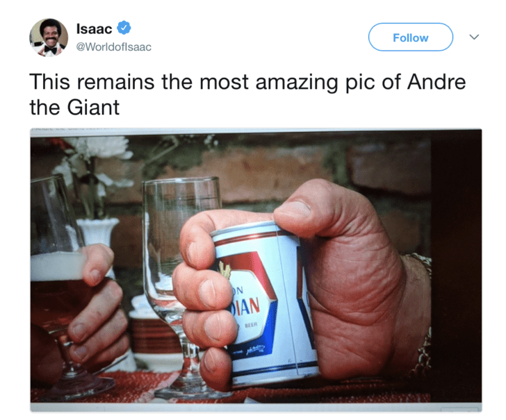 14 Larger Than Life Sized Things About Andre The Giant
