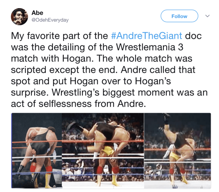 15 Larger Than Life Sized Things About Andre The Giant