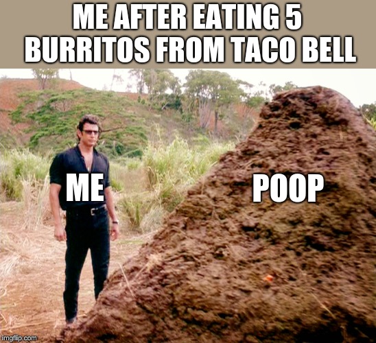 that's one big pile of shit - Me After Eating 5 Burritos From Taco Bell Me Poop imgflip.com