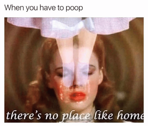 there's no place like home to poop - When you have to poop there's no place home
