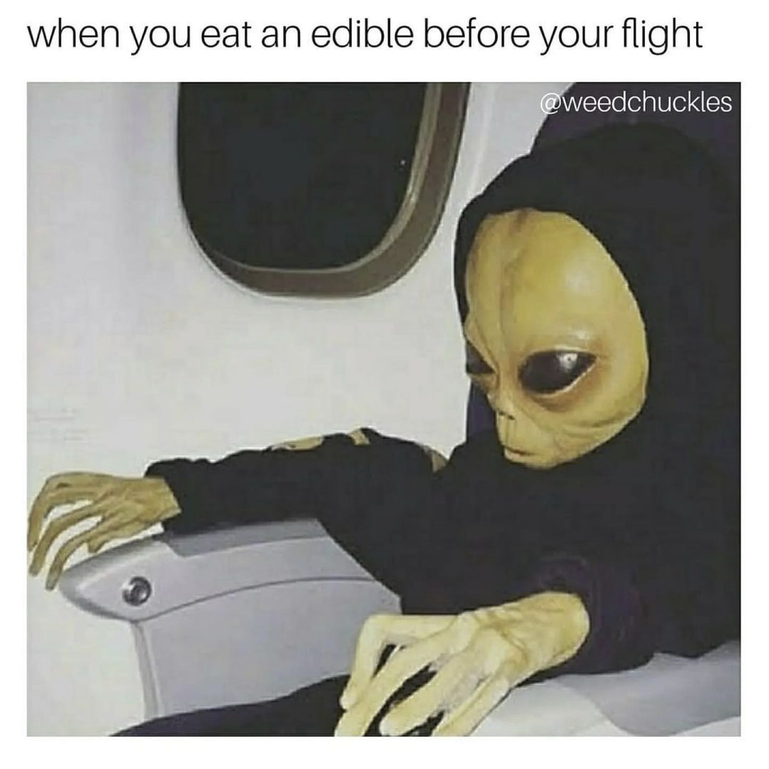 420 weed memes and pics - when you eat an edible before your flight