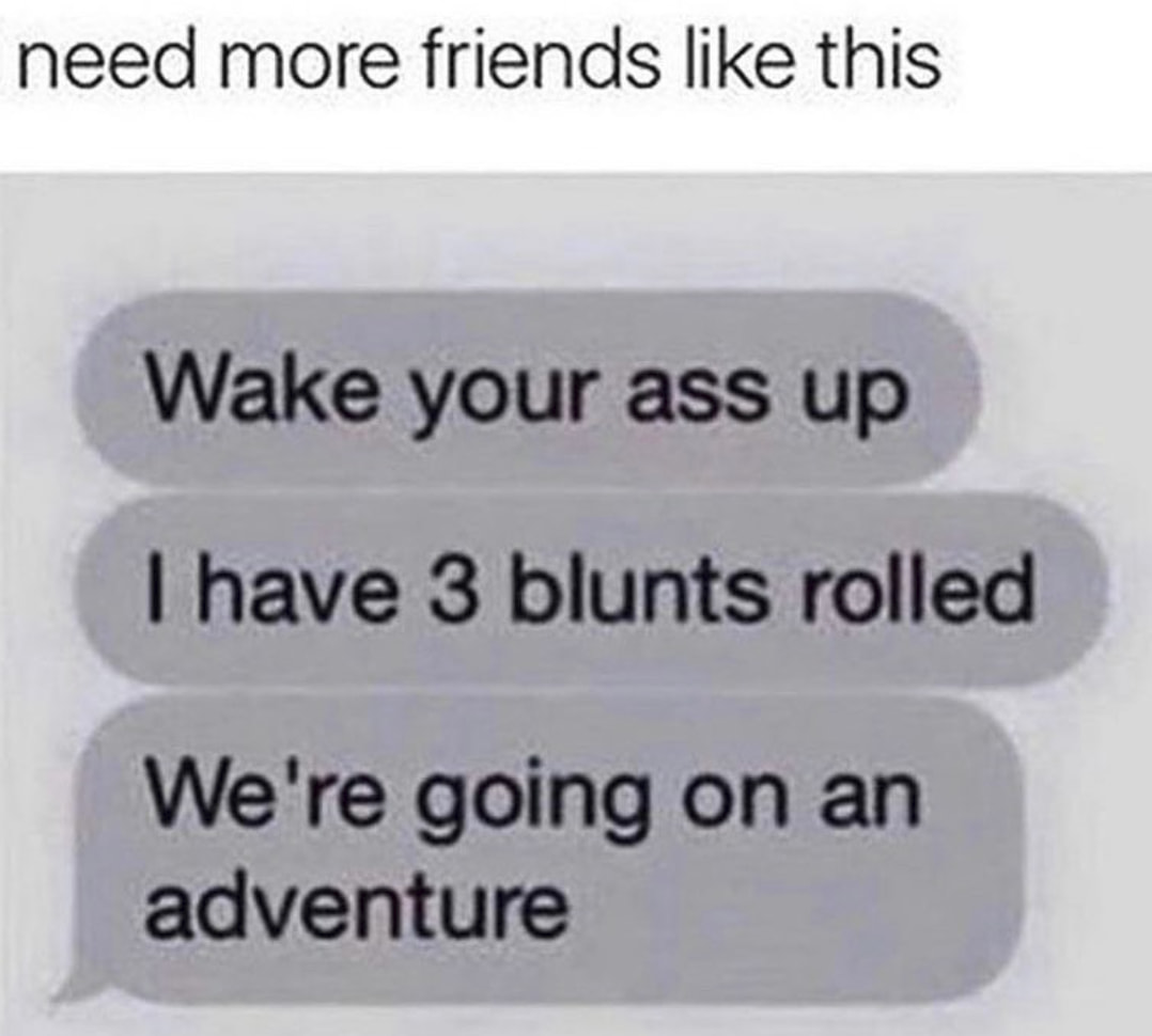 420 weed memes and pics - material - need more friends this Wake your ass up I have 3 blunts rolled We're going on an adventure
