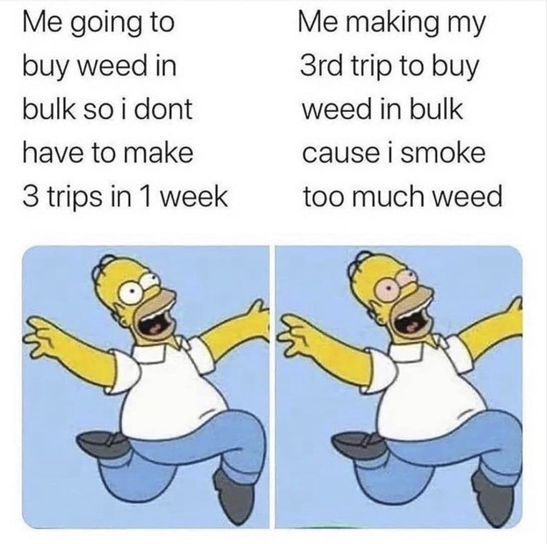 420 weed memes and pics - funny weed cartoon memes - Me going to buy weed in bulk so i dont have to make 3 trips in 1 week Me making my 3rd trip to buy weed in bulk cause i smoke too much weed