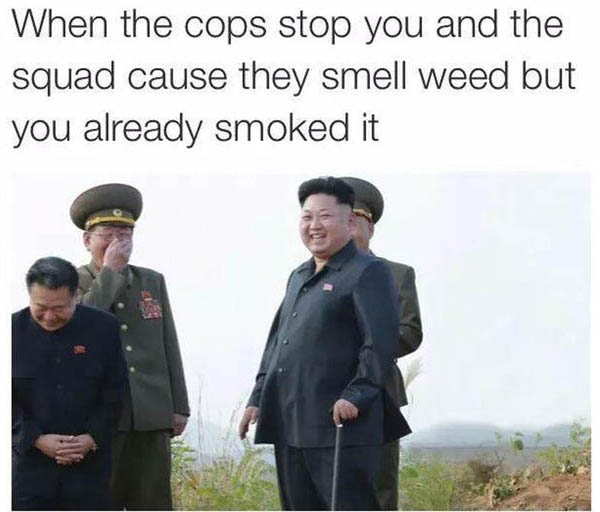 420 weed memes and pics - north korea 2014 - When the cops stop you and the squad cause they smell weed but you already smoked it