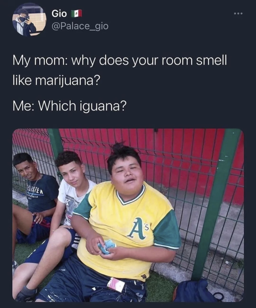 420 weed memes and pics - does this room smell like - Gio My mom why does your room smell marijuana? Me Which iguana? Klisten A