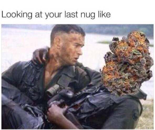 420 weed memes and pics - forrest gump and bubba - Looking at your last nug
