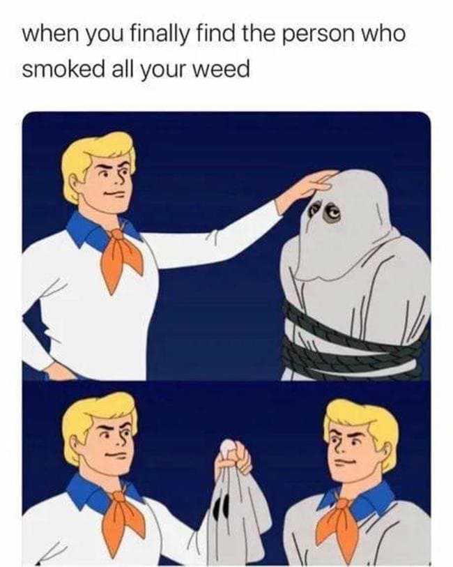 420 weed memes and pics - you finally find out who drank all your beers - when you finally find the person who smoked all your weed re $ Ey