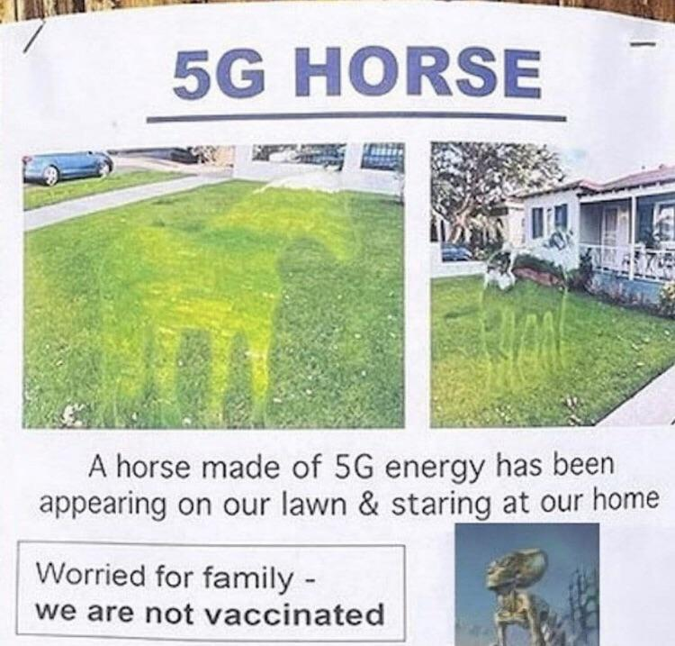 cringeworthy pics - 5g horse - 5G Horse A horse made of 5G energy has been appearing on our lawn & staring at our home Worried for family we are not vaccinated