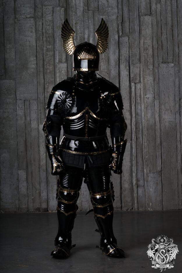 funny pics and memes - gothic medieval armour - 111 St S 2001