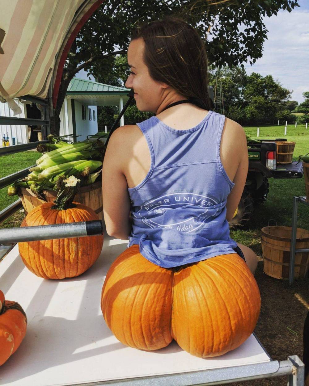 daily dose of awesome - pumpkin butts