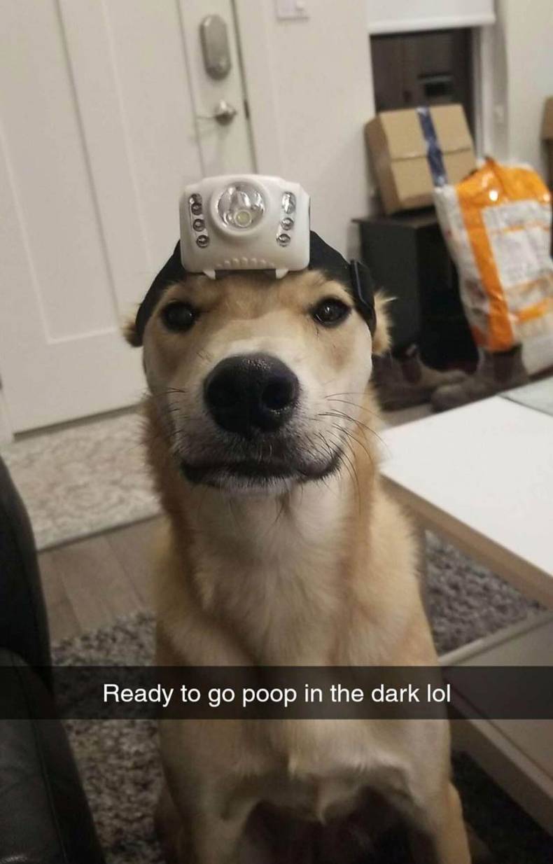 daily dose of awesome - ready to go poop in the dark - 1 Ready to go poop in the dark lol