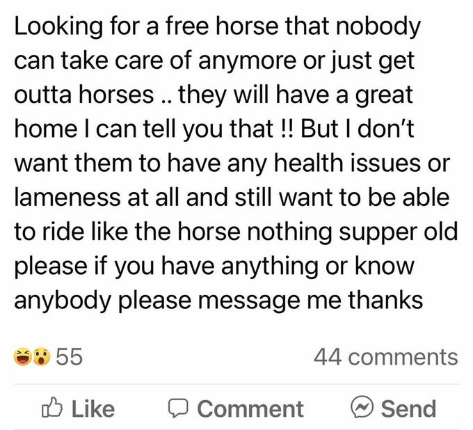 angle - Looking for a free horse that nobody can take care of anymore or just get outta horses.. they will have a great home I can tell you that !! But I don't want them to have any health issues or lameness at all and still want to be able to ride the ho