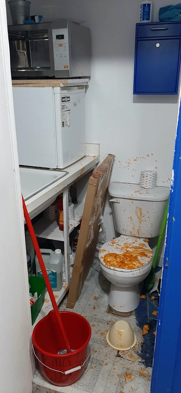 whoops wednesday - toilet next to fridge - Der Lice 207 novus
