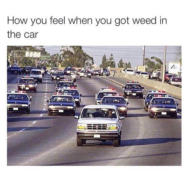 oj simpson chase - How you feel when you got weed in the car