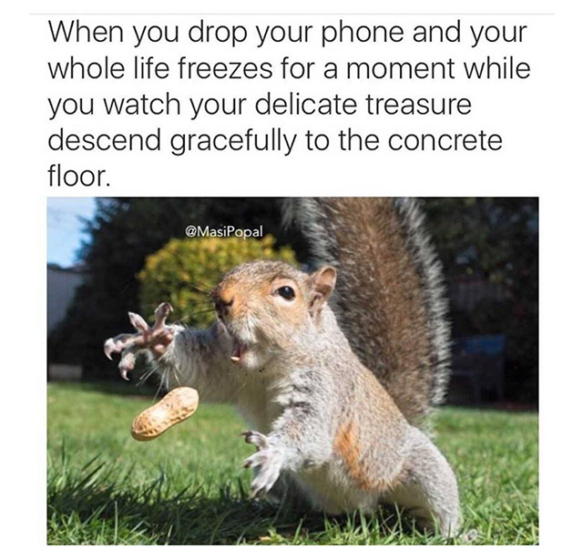 you drop your phone memes - When you drop your phone and your whole life freezes for a moment while you watch your delicate treasure descend gracefully to the concrete floor.