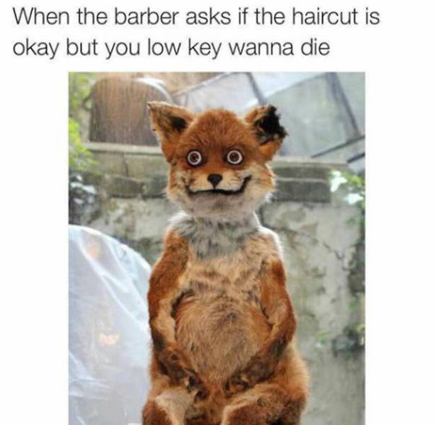 hilarious memes memes to make you laugh - When the barber asks if the haircut is okay but you low key wanna die