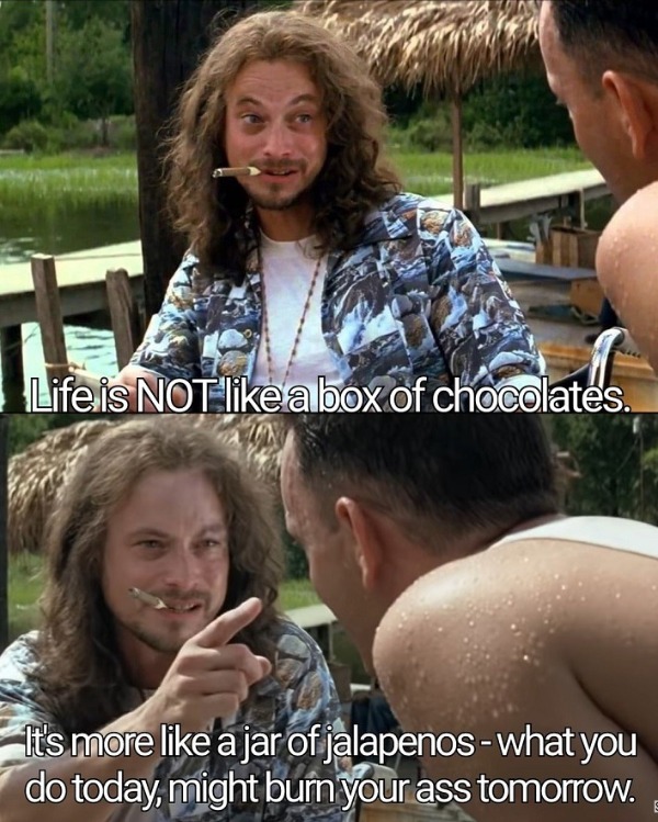 friendship - Life is Not a box of chocolates. It's more a jar of jalapenos what you do today, might burn your ass tomorrow.