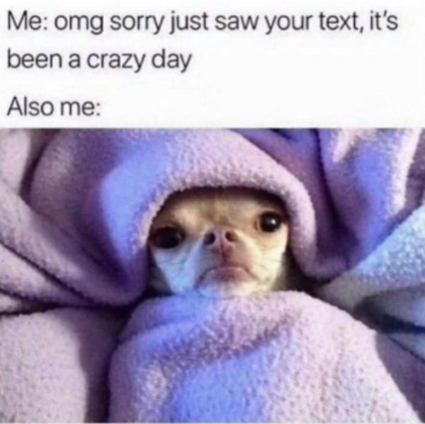 its been a crazy day - Me omg sorry just saw your text, it's been a crazy day Also me