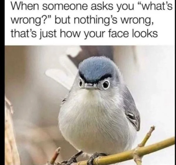 hilarious laugh memes funny - When someone asks you "what's wrong?" but nothing's wrong, that's just how your face looks