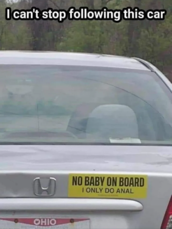 spicy sex memes - vehicle registration plate - I can't stop ing this car Q Ohio No Baby On Board I Only Do Anal