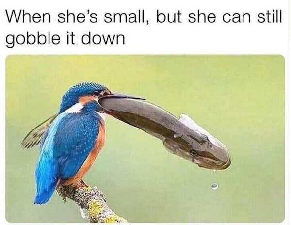 spicy sex memes - waiting for answer meme - When she's small, but she can still gobble it down