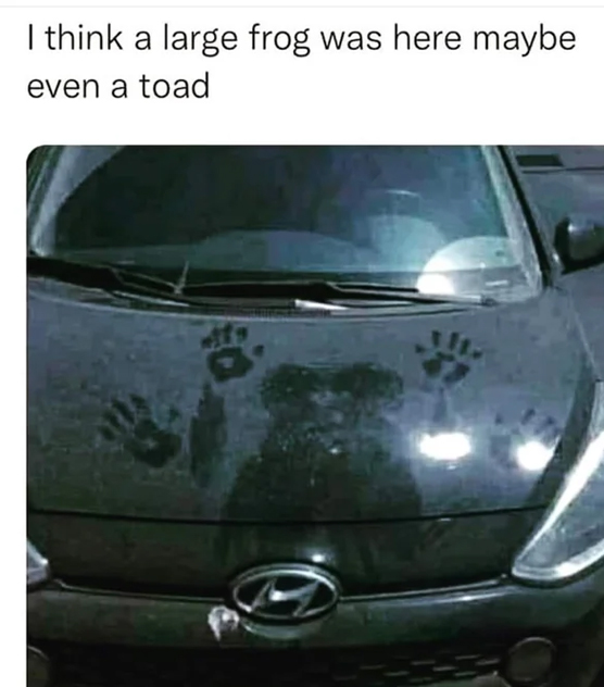 spicy sex memes with lowbrow humor - Internet meme - I think a large frog was here maybe even a toad