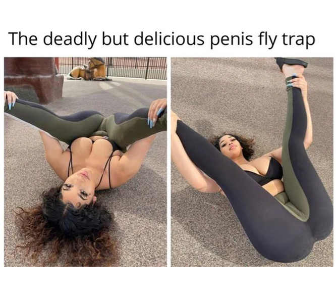 spicy sex memes with lowbrow humor - thigh - The deadly but delicious penis fly trap