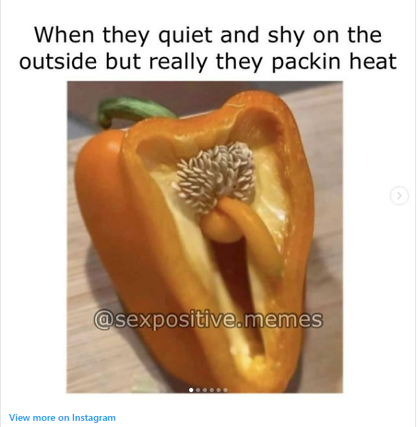 spicy sex memes - funny pepper - When they quiet and shy on the outside but really they packin heat .memes View more on Instagram