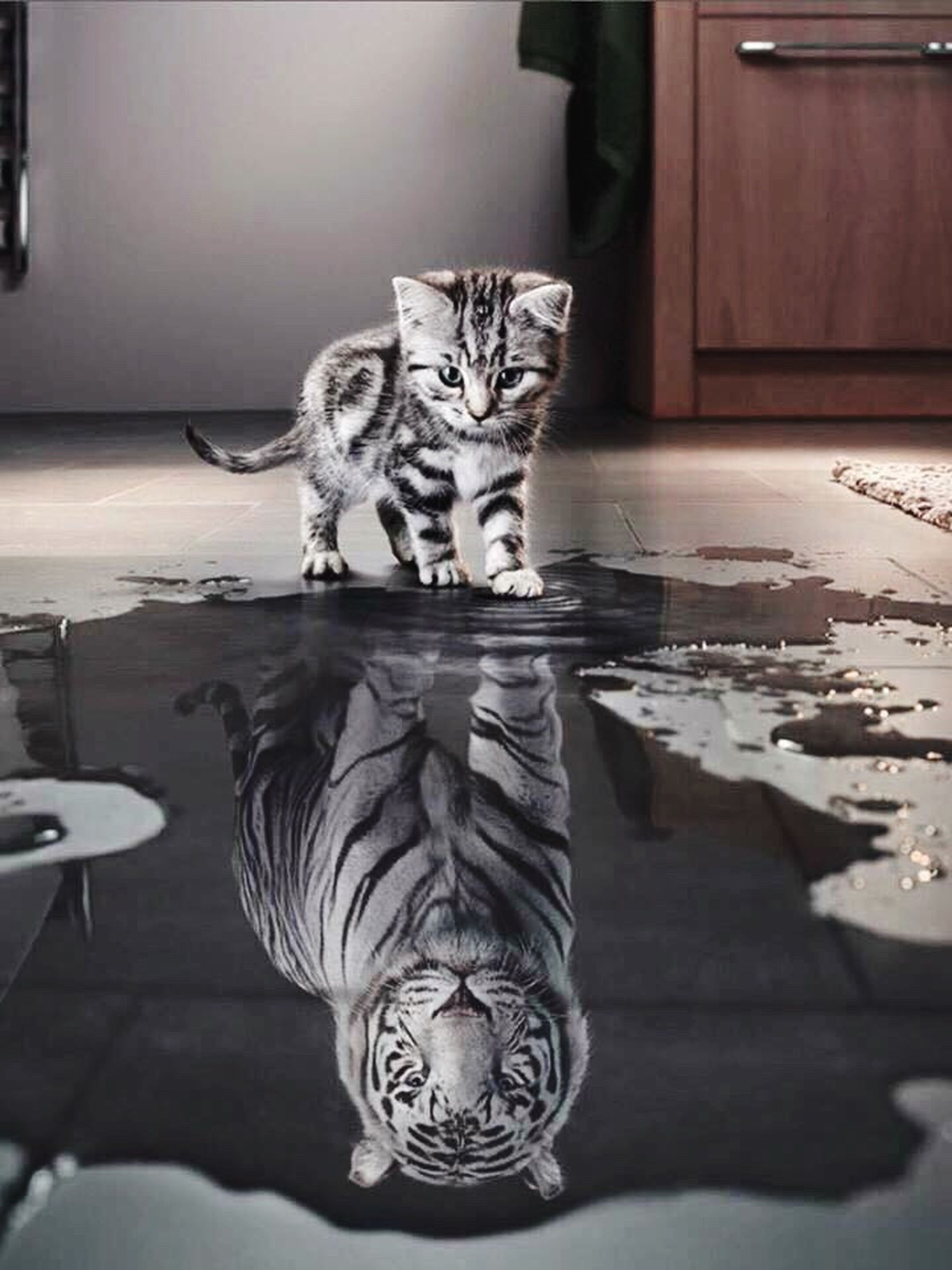 cool random pics - matter most is how you see yourself