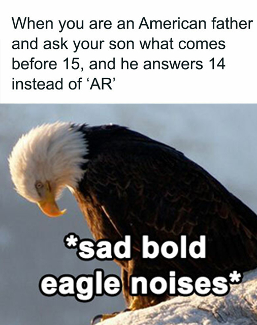 pics that are all american - proud belieber - American father When you are an and ask your son what comes before 15, and he answers 14 instead of 'Ar' sad bold eagle noises