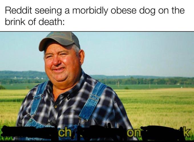it aint much but its honest work memes - skyrim honest pay for honest work - Reddit seeing a morbidly obese dog on the brink of death ch on