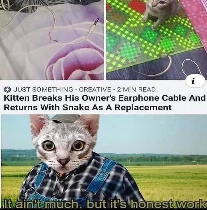 it aint much but its honest work memes - cute clean cat memes - Just Something Creative 2 Min Read Kitten Breaks His Owner's Earphone Cable And Returns With Snake As A Replacement It ain't much, but it's honest work