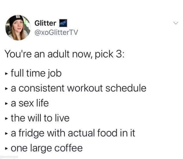 adult life pick 3 - Glitter You're an adult now, pick 3 full time job a consistent workout schedule a sex life the will to live a fridge with actual food in it one large coffee