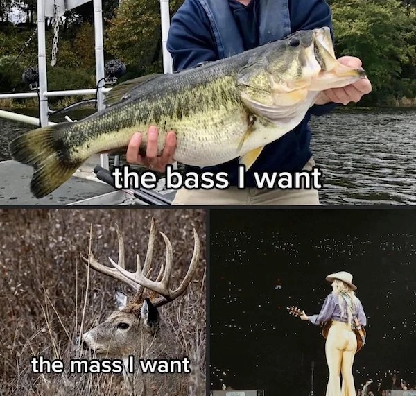 spicy memes - largemouth bass - the bass I want the mass I want