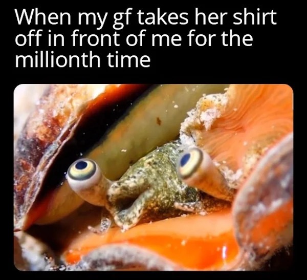 spicy memes - fauna - When my gf takes her shirt off in front of me for the millionth time