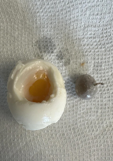cursed pics and photos - egg