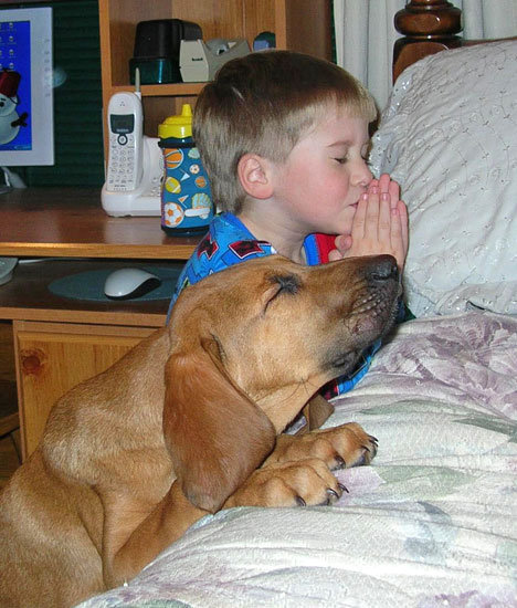 My dog always pray with me in the morning