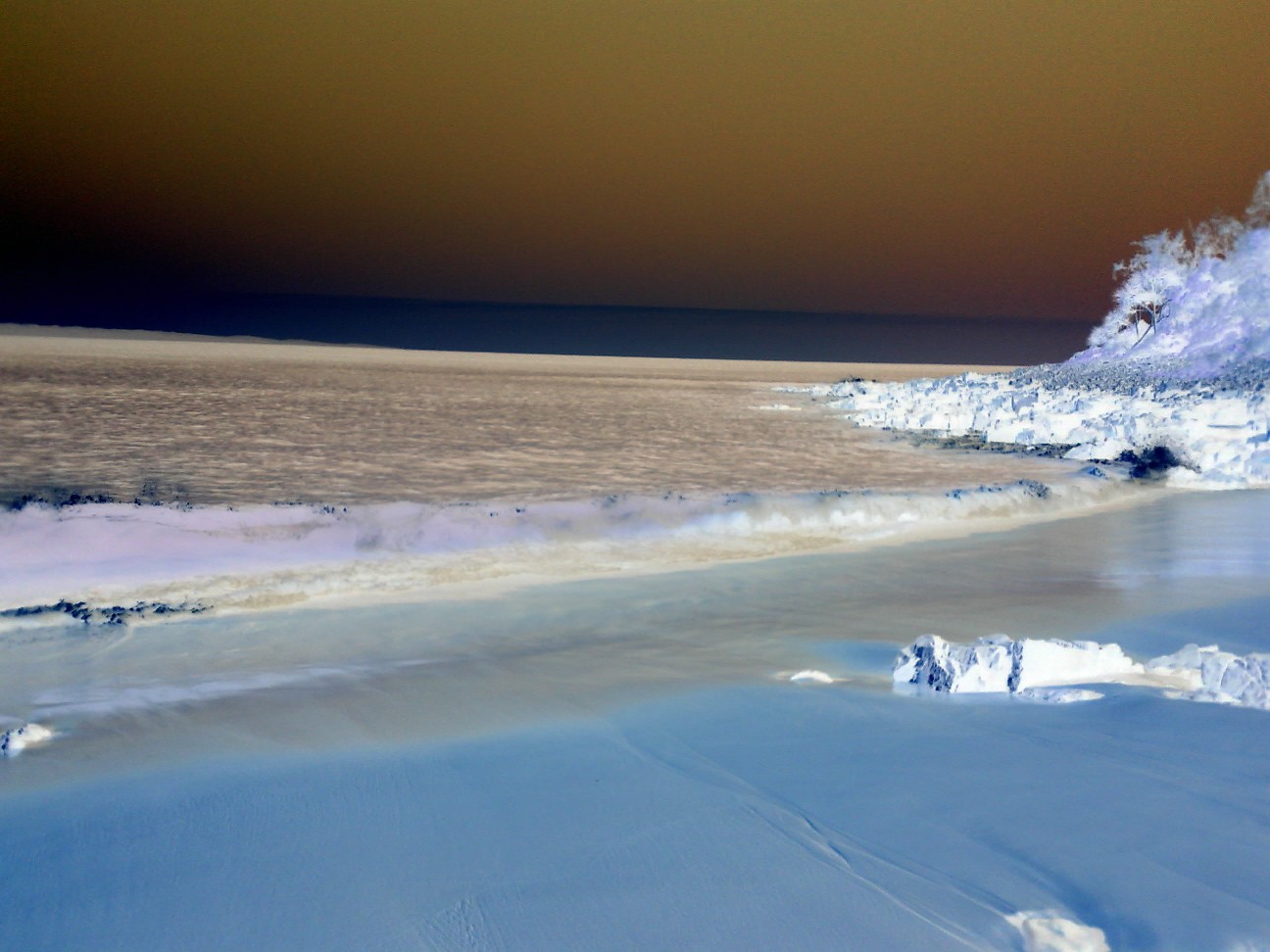 Nature in the Negative