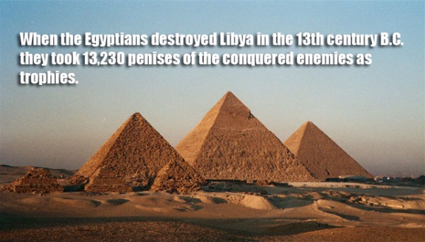 great pyramid of giza - When the Egyptians destroyed Libya in the 13th century B.C. they took 13,230 penises of the conquered enemies as trophies.