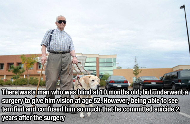 blind man walking a dog - There was a man who was blind at 10 months old, but underwent a surgery to give him vision at age 52. However, being able to see terrified and confused him so much that he committed suicide 2 years after the surgery
