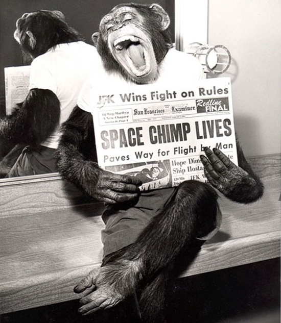 A space chimp poses for the camera after a successful mission to space in 1961.