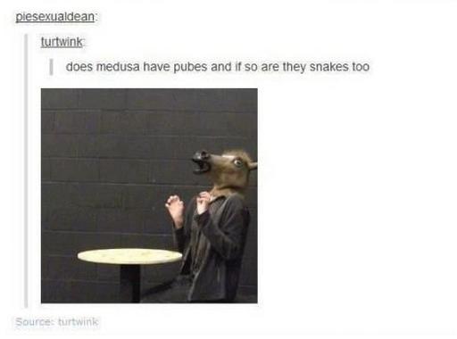 tumblr - human behavior - plesexualdean turtwink does medusa have pubes and if so are they snakes too Sources turtwink