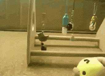 Awesome GIFS